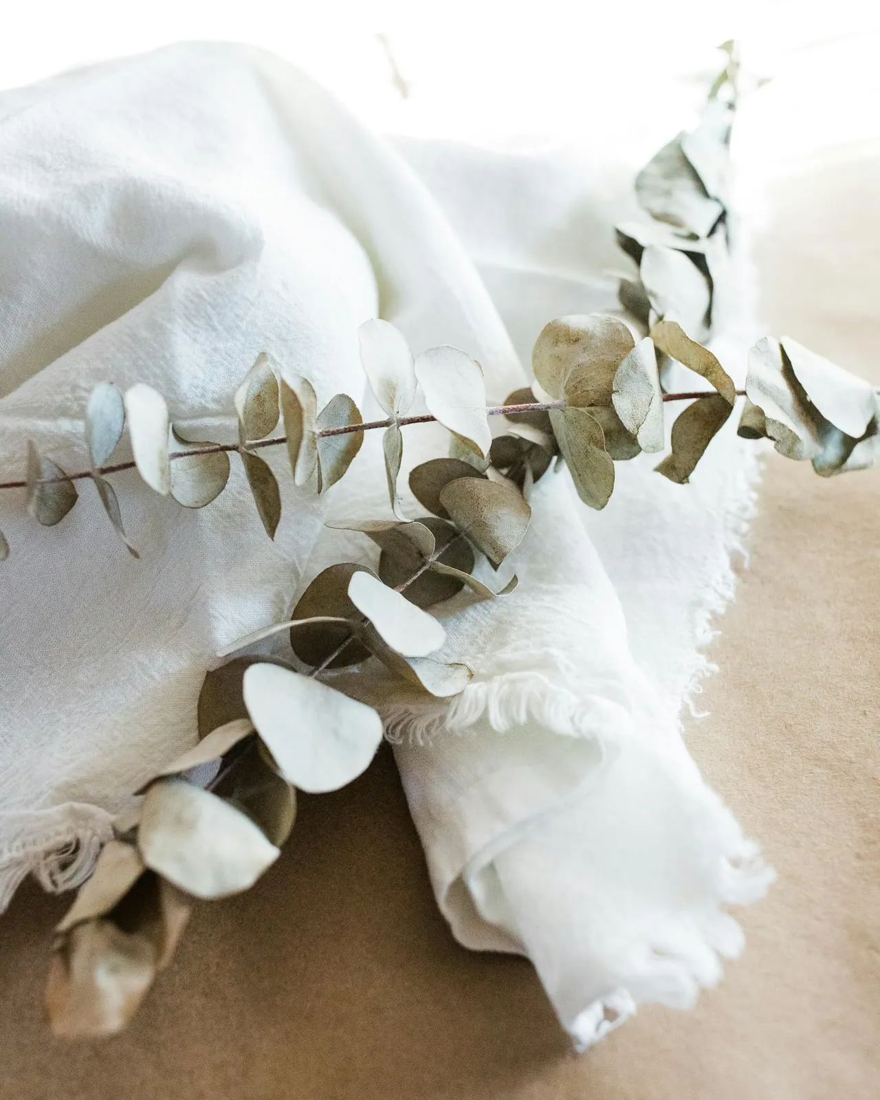 Dried eucalyptus stems resting on folded white linen